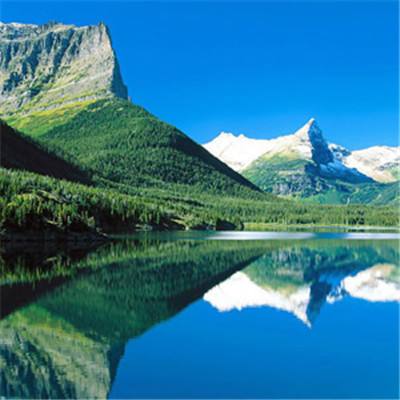 365体育手机版入口