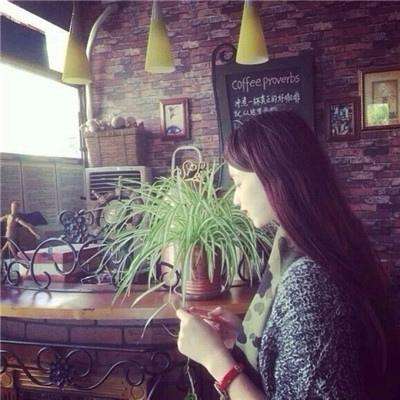 168极速赛车全天计划单期